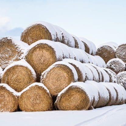 Hay bales covered in snow in Aberdeenshire