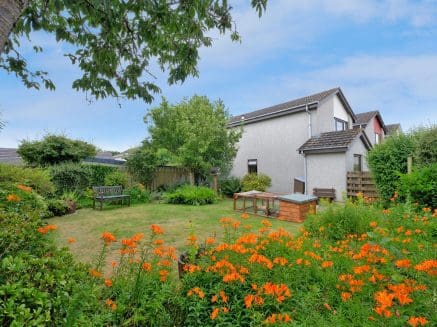 Image of a garden in aberdeenshore showing a house in the background with a lawn and orange flowers