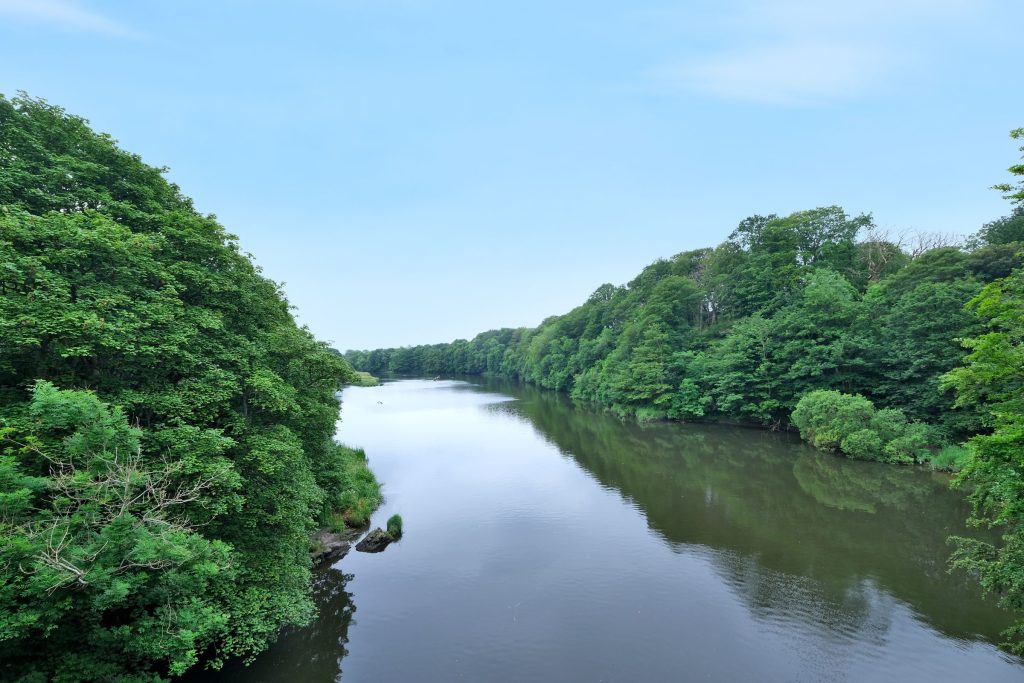 view of river surrounded by trees  on either side 