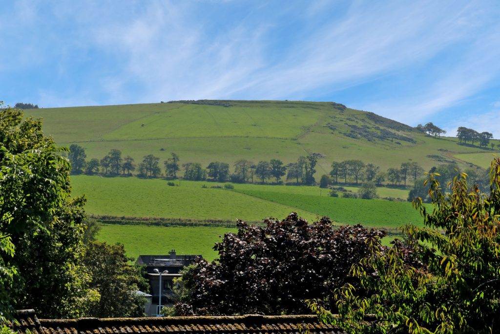 large green grassy hills with blue skies and trees
